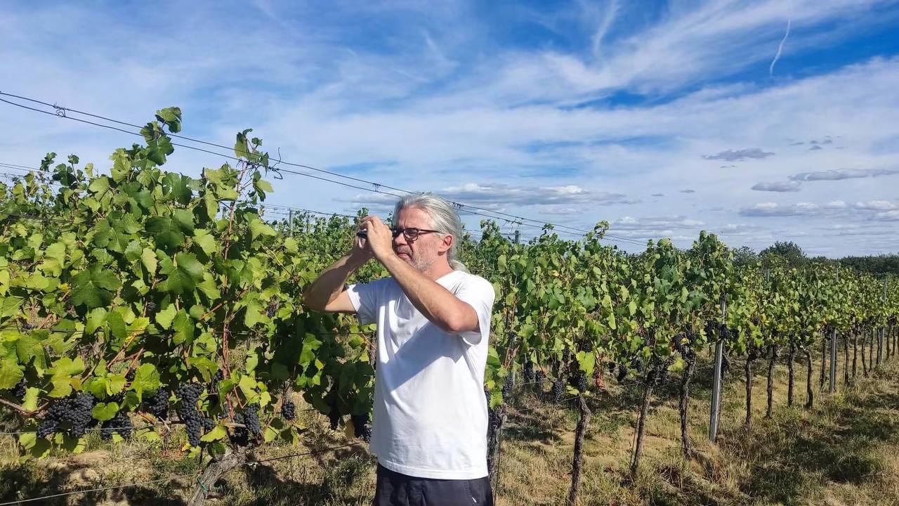 Foto 3 – Vinařství Plešingr